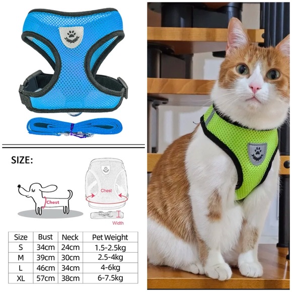 Other - 🔥 Cat Harness Vest Walking Lead Leash